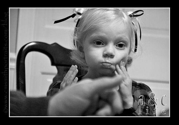 jesseblog-006 jesseblog-006